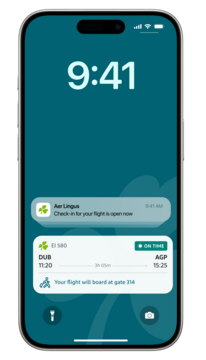 03 Notifications Flight Status