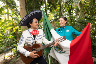 Aer Lingus launches new route to Cancun, Mexico-1