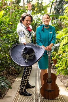 Aer Lingus launches new route to Cancun, Mexico-3
