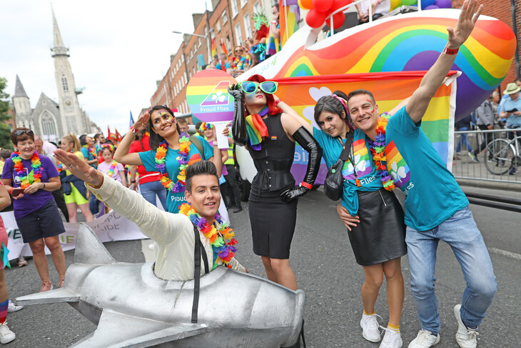 Pride Flies